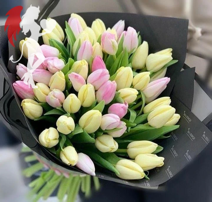 dsa as d sadsa dsa da s (TEST)